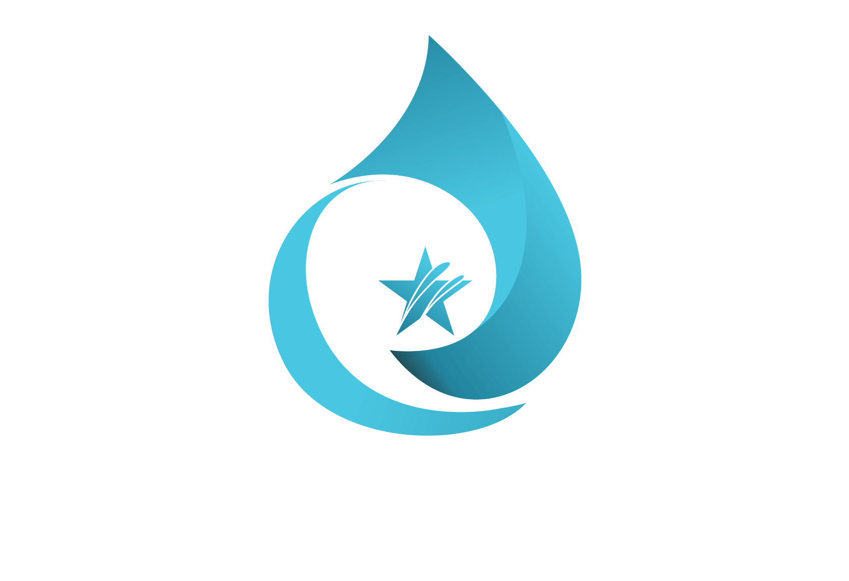 Flow Star Plumbers Light Logo