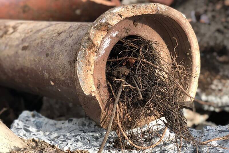 Blocked drain plumber in Penrith clearing clogged pipes